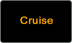Cruise Control indicator light